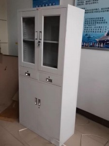 SL-W018中二斗器械櫃